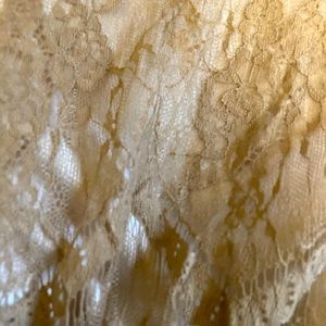 Dainty Jewels Champagne Dress (altered?